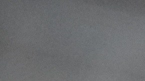 Un gato puede querer comunicarse contigo si maúlla en exceso.