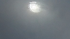 A Dennis Rodman no le importaría el dinero que le dejaría el combate ni la diferencia de edades en el ring.