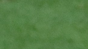 El origen de la lesión de Aaron Judge pudo ser un lance en el jardín.