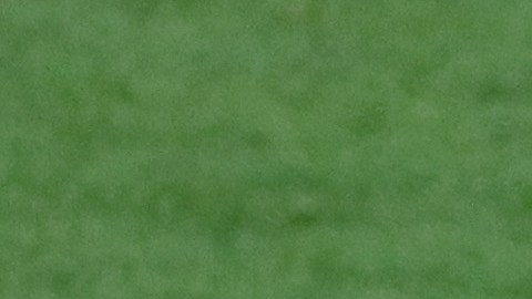 El origen de la lesión de Aaron Judge pudo ser un lance en el jardín.