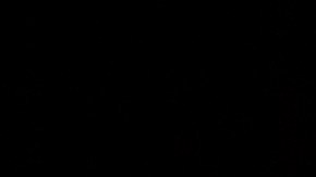 TikTok Coronavirus Organización Mundial de la Salud