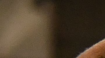 El DOS reporta que al menos 9,000 personas se han repatriado.