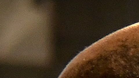 El DOS reporta que al menos 9,000 personas se han repatriado.