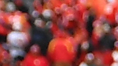 JJ Watt