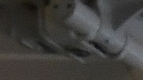 aerolíneas desinfectar aviones coronavirus