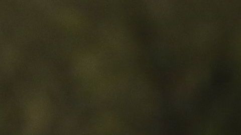 Debido al coronavirus, USCIS se mantiene cerrado, y planea abrir para mayo. (AFP/Getty Images)