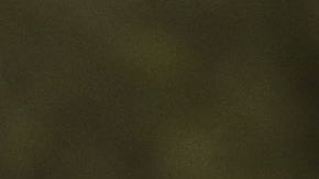 En el estado e Washington un empleado de USCIS fue detectado con el virus.