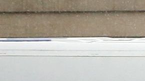 En el estado de Washington se registra el mayor número de muertes con 19.