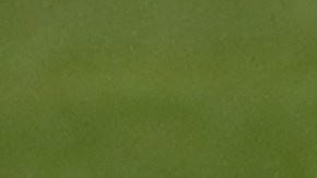 El Brescia marchaba en el último lugar de la tabla general al momento de la suspensión de la liga italiana.