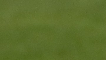 El Brescia marchaba en el último lugar de la tabla general al momento de la suspensión de la liga italiana.