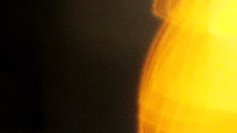 Rudy Gobert manifestó su arrepentimiento.