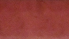 Ángel Di María fue uno de lo jugadores más eufóricos.