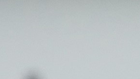 La Guardia Nacional distribuye comida a los residentes en New Rochelle, NY, una comunidad golpeada por el coronavirus.