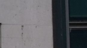 Elementos de la Guardia Nacional en el Jacob Javits Center.