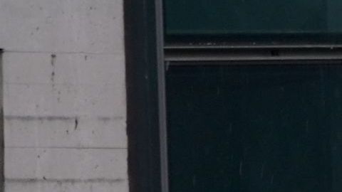 Elementos de la Guardia Nacional en el Jacob Javits Center.