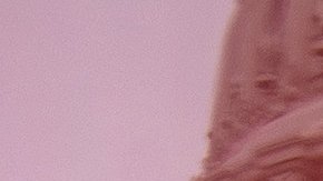 El Senado y la Casa Blanca aprobaron el acuerdo sobre ayuda económica por el coronavirus.