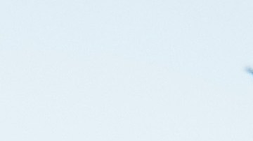 La Liga de Béisbol de Estados Unidos ha suspendido todos los partidos del campeonato hasta nuevo aviso.