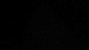 Joe Biden salió victorioso en los tres estados en juego.