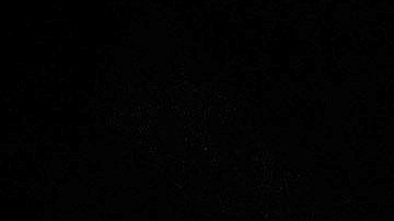 Joe Biden salió victorioso en los tres estados en juego.