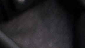 Perro coronavirus reparto Sunny COVID-19 COLORADO