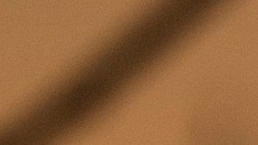 Los atletas estadounidenses optan por la suspensión.