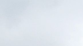 Los pequeños negocios han sido golpeados seriamente por la pandemia, pero en 2021 hubo una mejora. este año los dueños de los comercios tienen más optimismo.