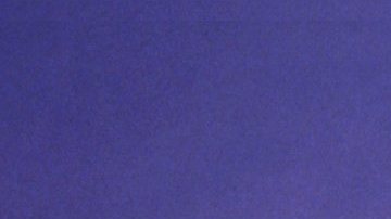 Florence Griffith Joyner