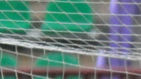 Curiosamente, la Liga Premier de Bielorrusia inició arrancó hoy su temporada 2020, en medio de la crisis mundial por el COVID-19.