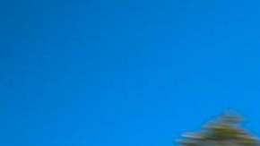 Johnny Depp y su ex esposa Amber Heard