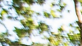 Cada vez es más complicado poder pagar el alquiler en las principales urbes de Estados unidos.