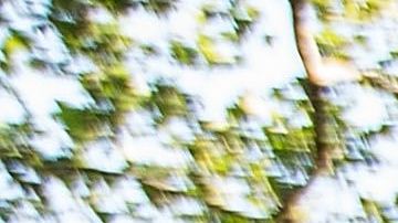 Cada vez es más complicado poder pagar el alquiler en las principales urbes de Estados unidos.