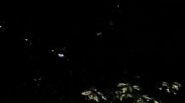 El NYDP investiga los hechos.