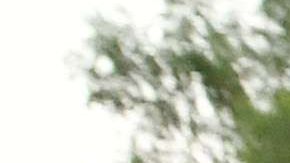 Beneficiarios de DACA y el TPS podrán recibir los 1,200 dólares del alivio por coronavirus aprobado por el Congreso. (Getty Images)