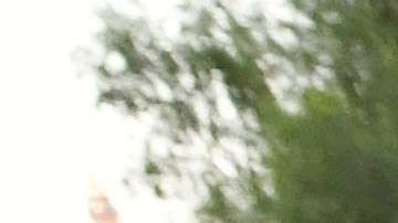 Beneficiarios de DACA y el TPS podrán recibir los 1,200 dólares del alivio por coronavirus aprobado por el Congreso. (Getty Images)