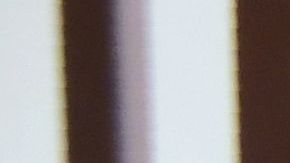 El estado planea reducir la orden de permanecer en casa.