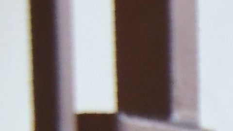 El estado planea reducir la orden de permanecer en casa.