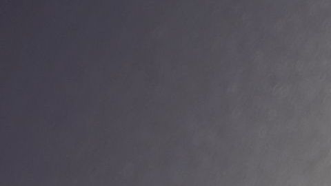 Gasolina desinfectantes coronavirus toallitas COVID-19 bomba de gasolina salud dinero