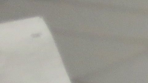 ICE ha sido criticada por activistas por arrestos en medio de la crisis por coronavirus.