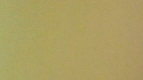 Boston reporta el tercer caso de coronavirus en el béisbol profesional.