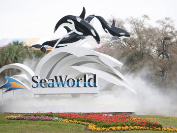 SeaWorld coronavirus despidos empleo Orlando San Diego trabajadores