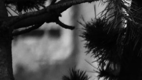 Esta imagen podría multiplicarse en muchas familias desalojadas durante el COVID-19.