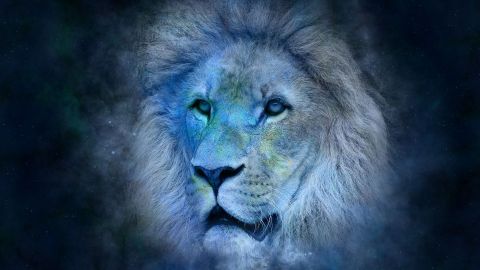 Signo de Leo.