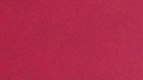 El subsecretario de Prevención y Promoción de la Salud del Gobierno de México, Hugo López-Gatell.