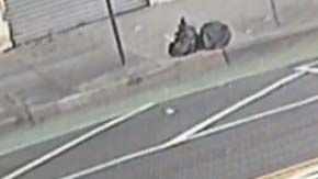 Las imágenes fueron captadas por cámaras de seguridad.