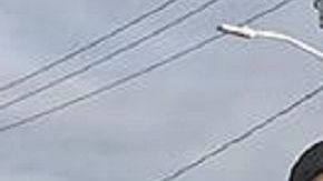 ICE continúa con redadas durante emergencia nacional por coronavirus.