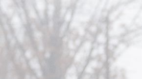 ICE detiene por más tiempo a inmigrantes.