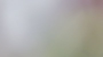 José Cardozo cuando era DT del Toluca.