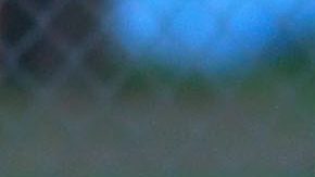 Chivas ya los tiene bajo tratamiento.