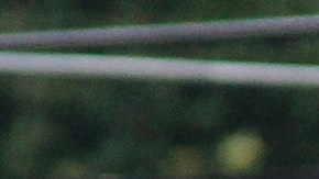 Mariana Arceo estuvo en una gira por Europa.