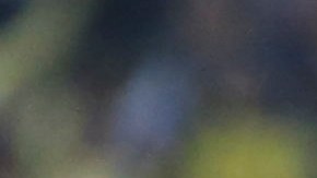 América ganó el primer Mundial de Clubes virtual de golazos.